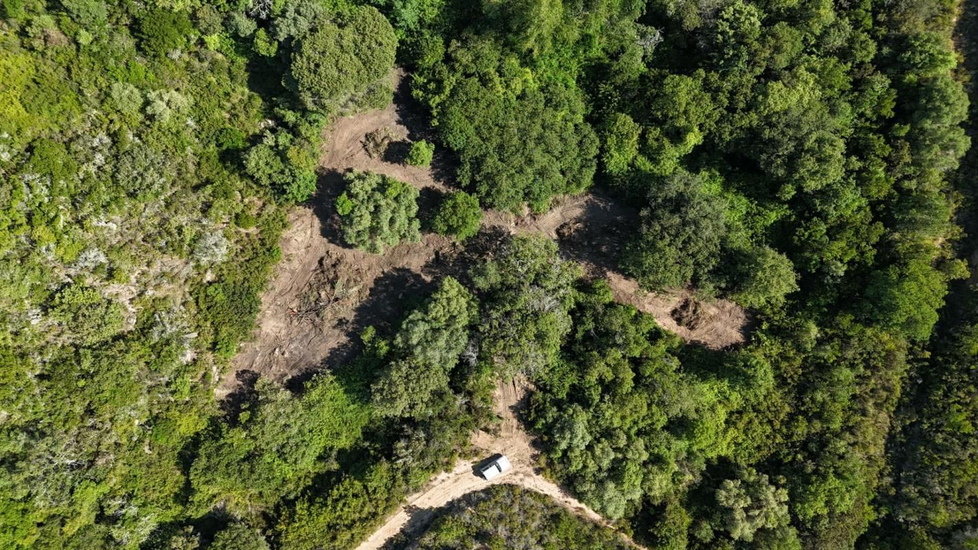 PIETROSELLA VENTE TERRAIN CONSTRUCTIBLE 5556 m² PIETROSELLA (20166) 3