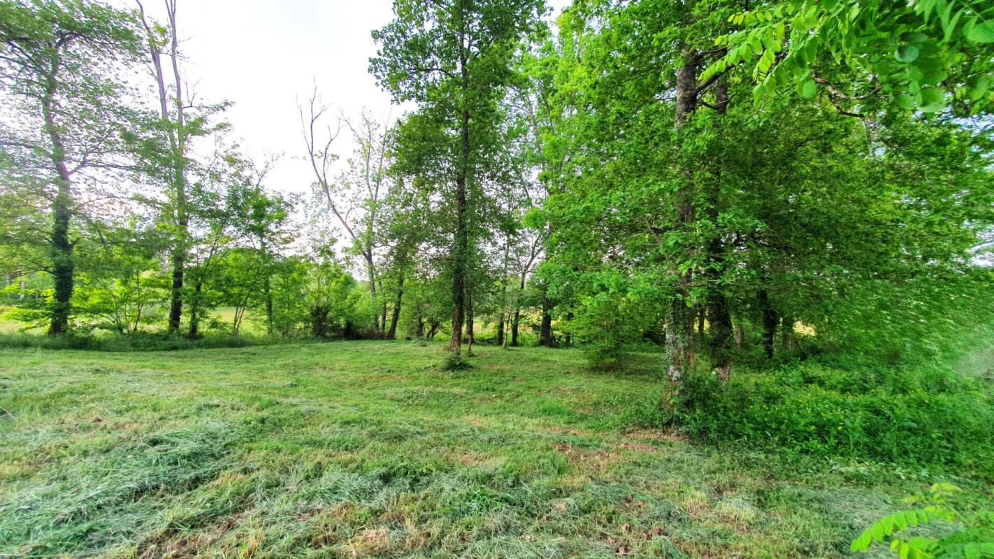 PONTONX-SUR-L'ADOUR Rare, beau terrain constructible 4