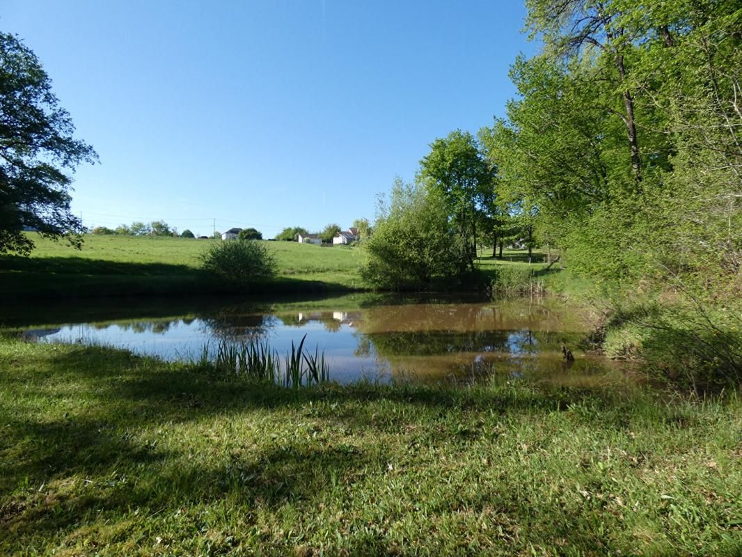 Terrain de loisirs 1,3 hectares avec étang