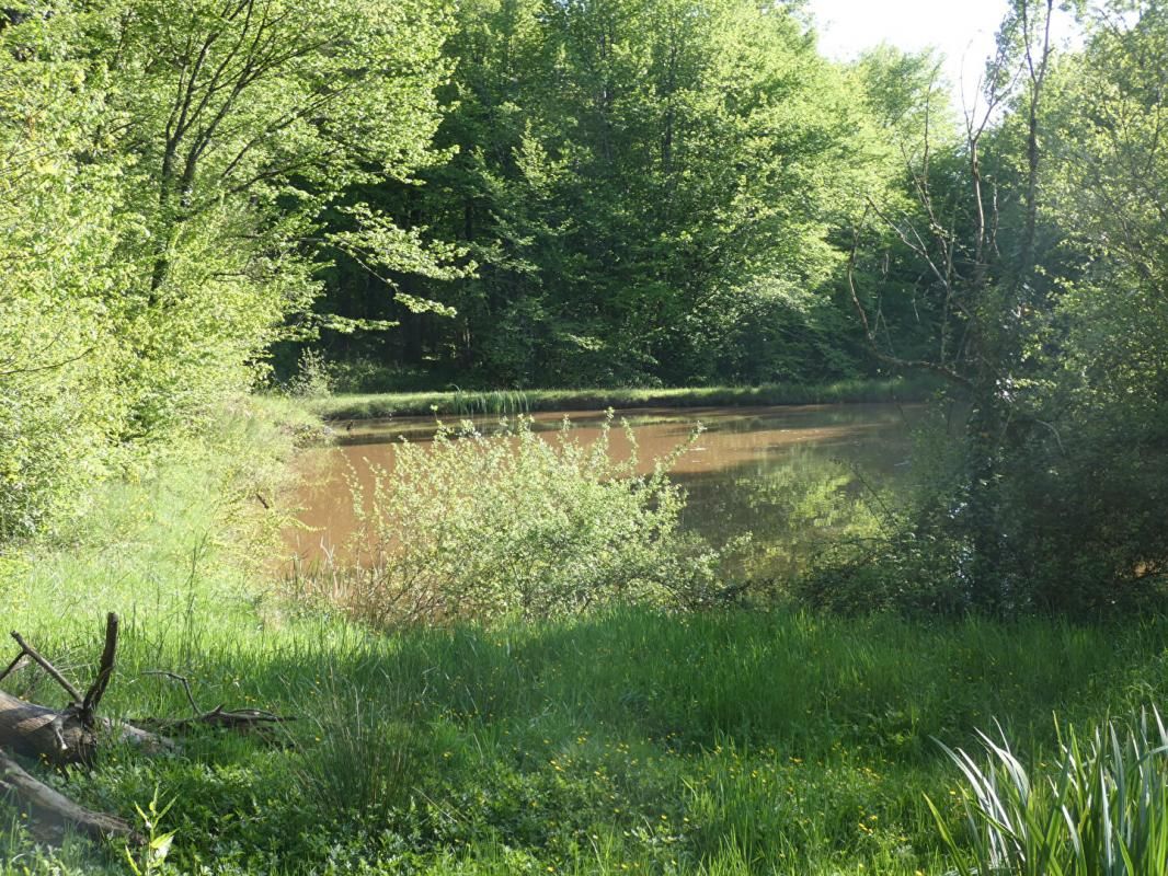 SAINTE-TRIE Terrain de loisirs 1,3 hectares avec étang 3