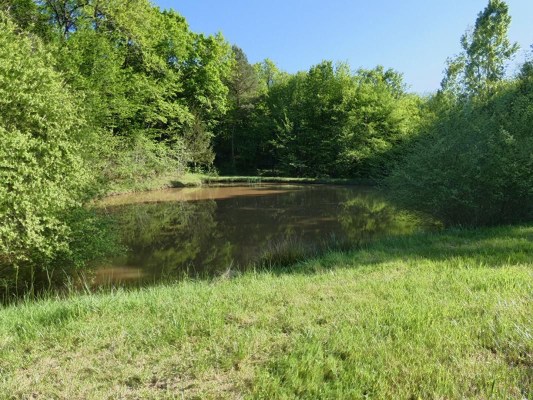 SAINTE-TRIE Terrain de loisirs 1,3 hectares avec étang 4