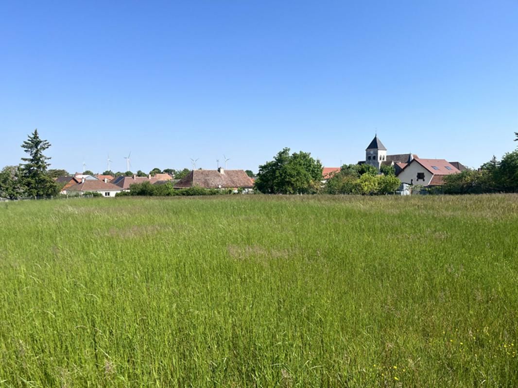 LES GRANDES-CHAPELLES Terrain constructible pour partie, 7090 m2 1