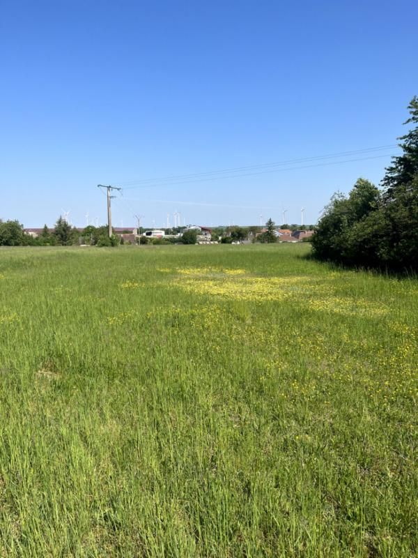 LES GRANDES-CHAPELLES Terrain constructible pour partie, 7090 m2 2