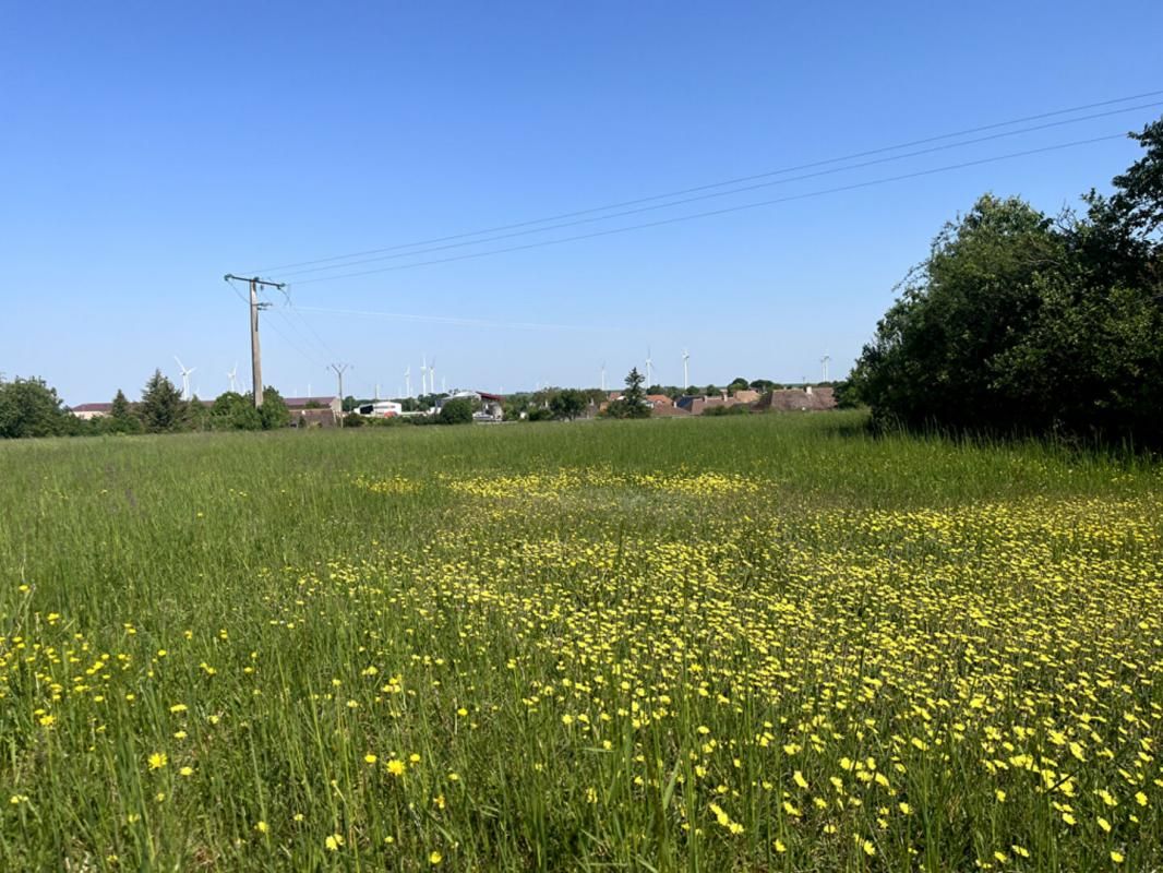LES GRANDES-CHAPELLES Terrain constructible pour partie, 7090 m2 3