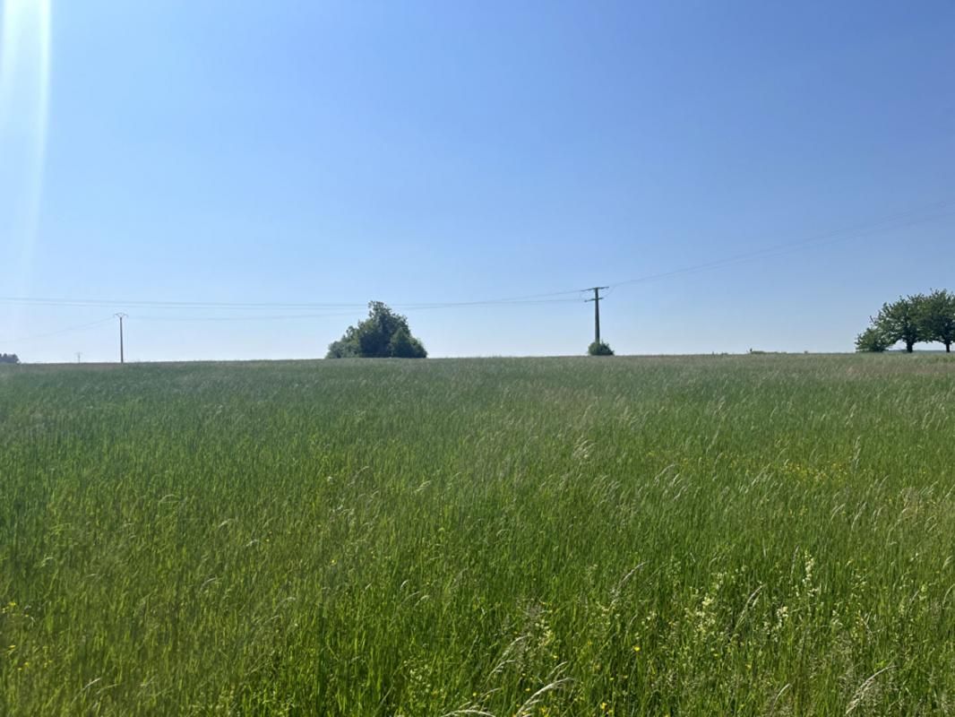 LES GRANDES-CHAPELLES Terrain constructible pour partie, 7090 m2 4