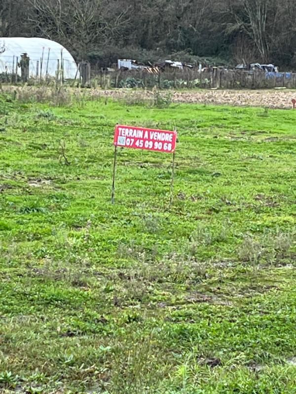SAINT-CHRISTOPHE-EN-BRESSE dernier très beau terrain constructible a 32.5 le m²dans un endroit calme à St Christophe enBresse 2