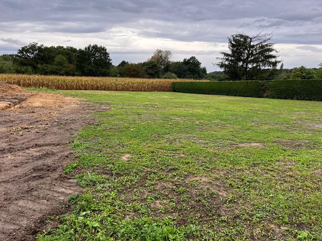 SAINT-CHRISTOPHE-EN-BRESSE dernier très beau terrain constructible a 32.5 le m²dans un endroit calme à St Christophe enBresse 4
