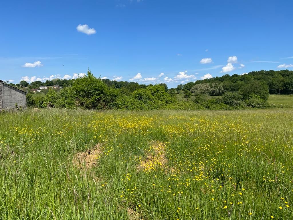 SAINT-GERMAIN-DES-PRES Terrain Saint Germain Des Pres 5710 m2 1