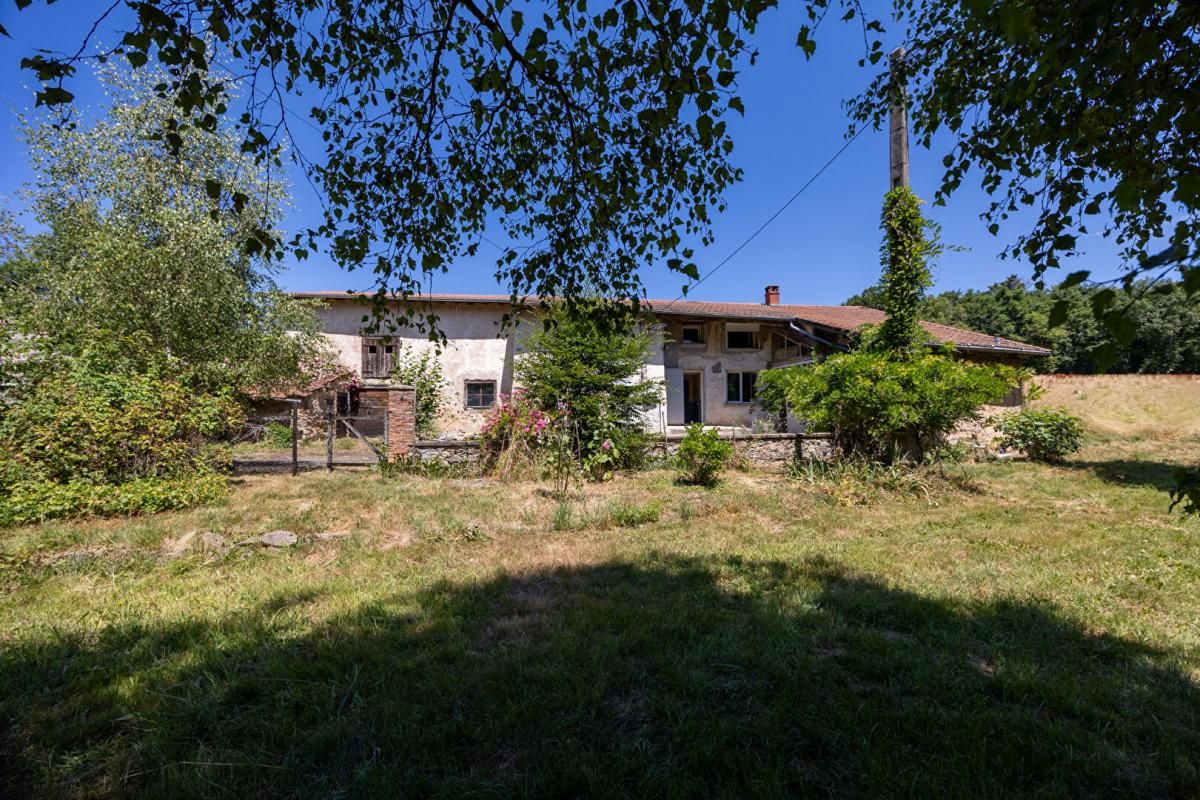 VIOLAY Corps de ferme authentique sur 26 000 m² de terrain attenant 3