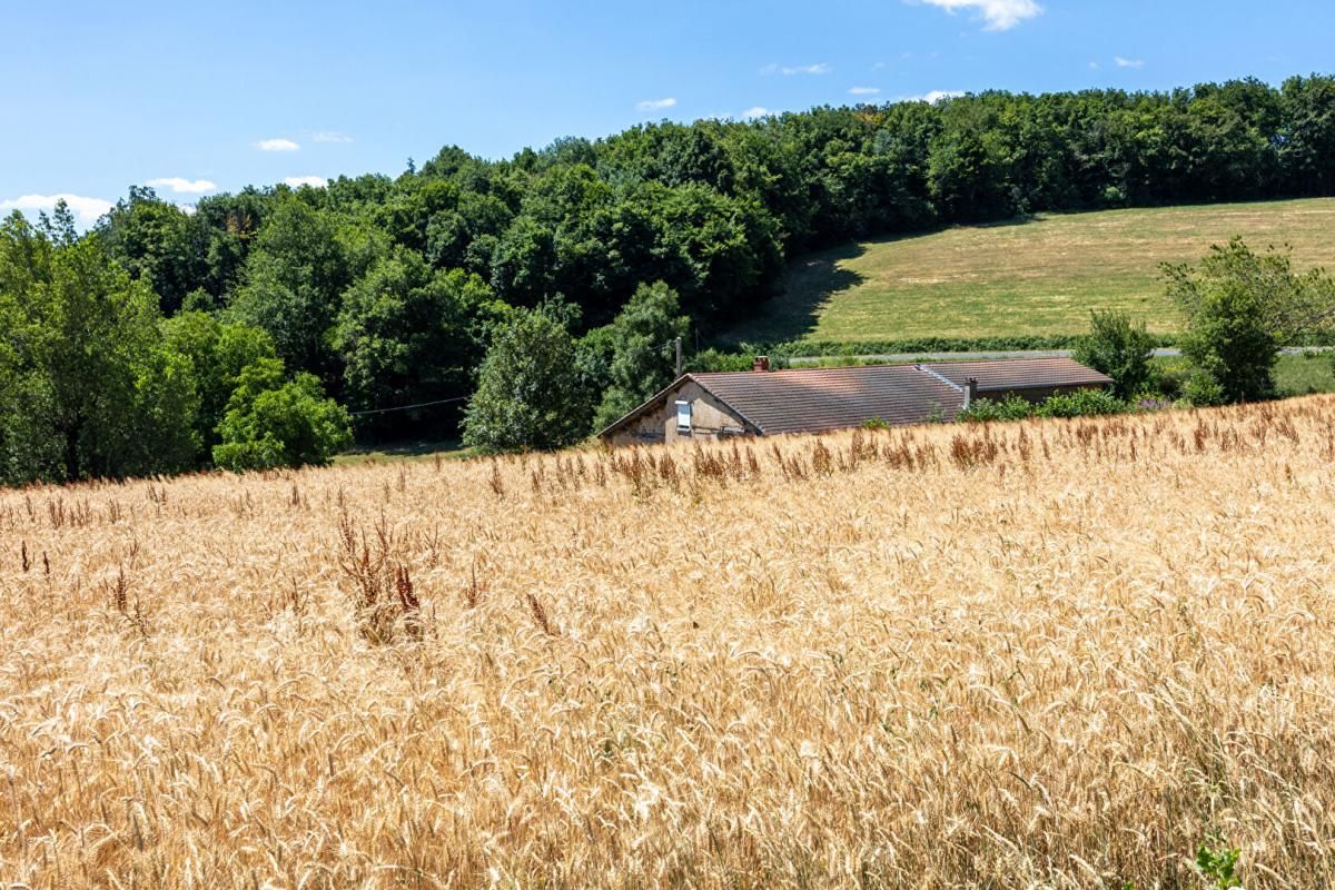 VIOLAY Corps de ferme authentique sur 26 000 m² de terrain attenant 4
