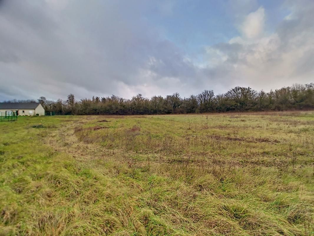 LES AIX-D'ANGILLON Terrain Les Aix D Angillon 1529 m2 2