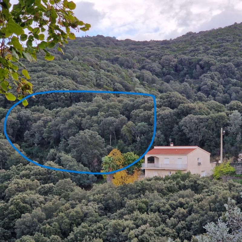 Proche Sartene à vendre terrain de 2032 m2