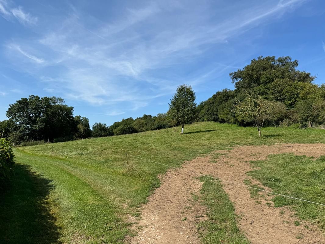 VAUBEXY TERRAIN CONSTRUCTIBLE A VIABILISER - 1 HA 4