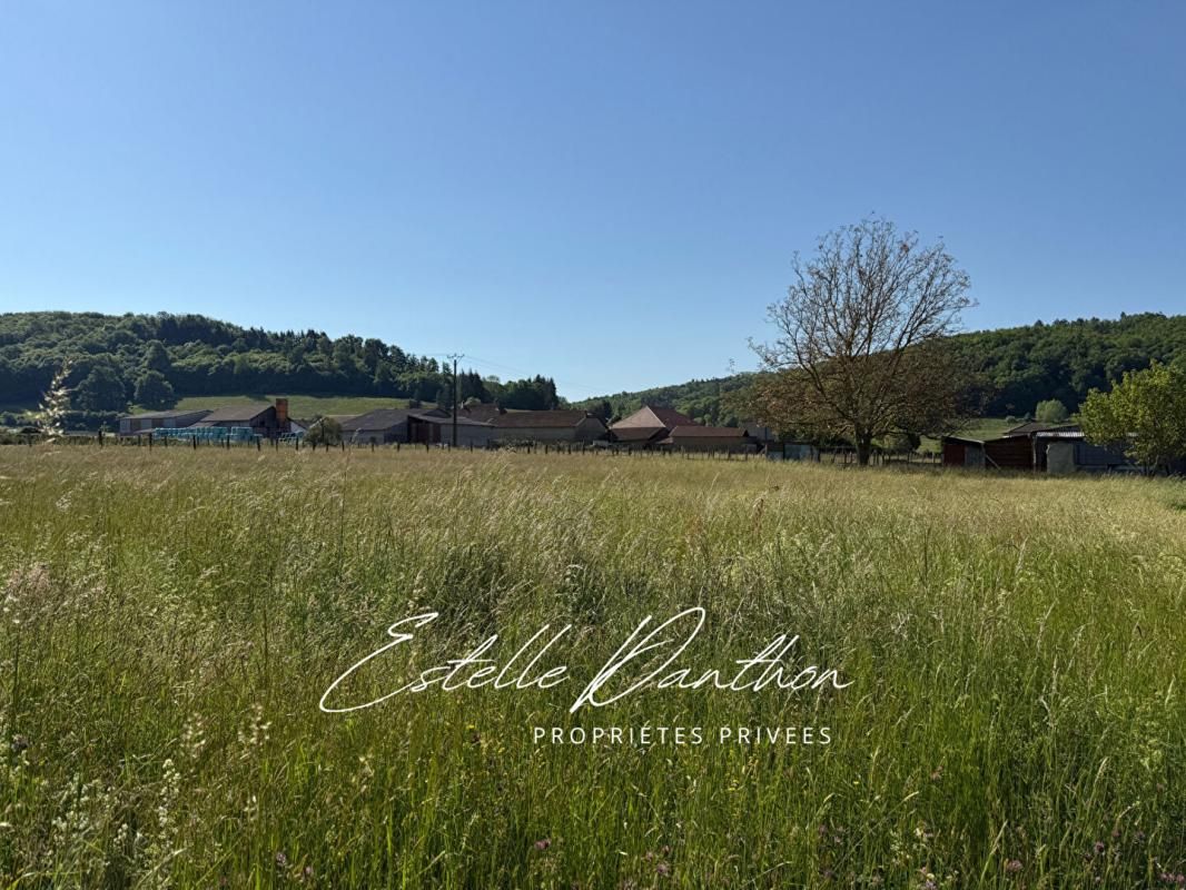 LONGECHENAL Terrain constructible Longechenal 1082 m2 1