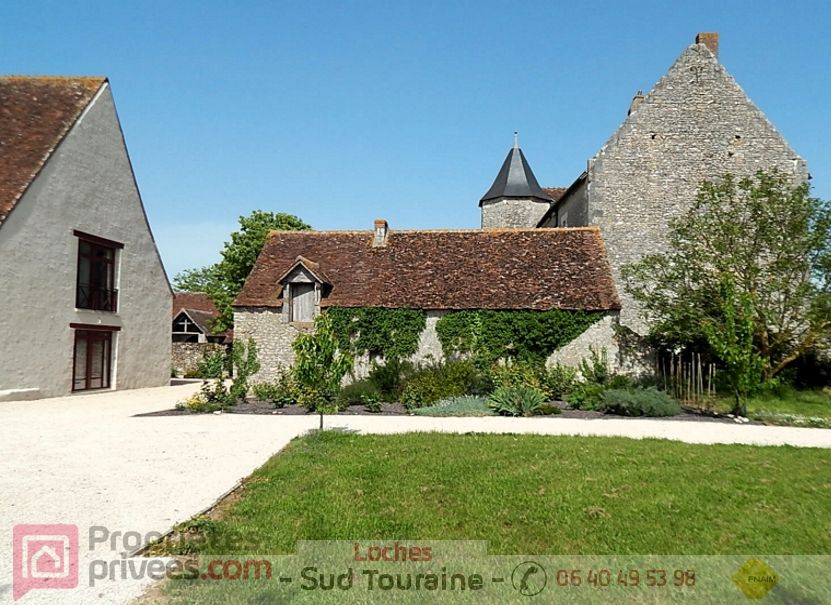 REIGNAC-SUR-INDRE Demeure de prestige Reignac Sur Indre 10 pièce(s) 470 m2 1