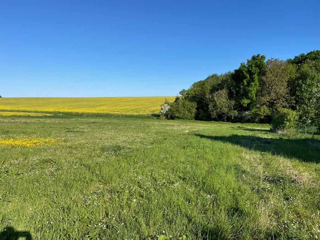 EPERNON 28230 EPERNON TERRAIN 425 m2 VIABILISE 1