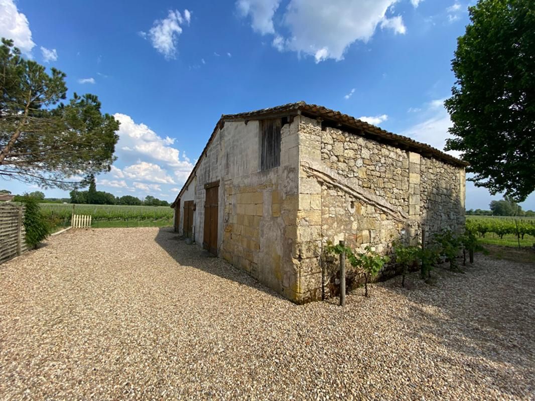 SAINT-EMILION SECTEUR SAINT EMILION - DOMAINE, GITE, avec PISCINE, CHAI 3