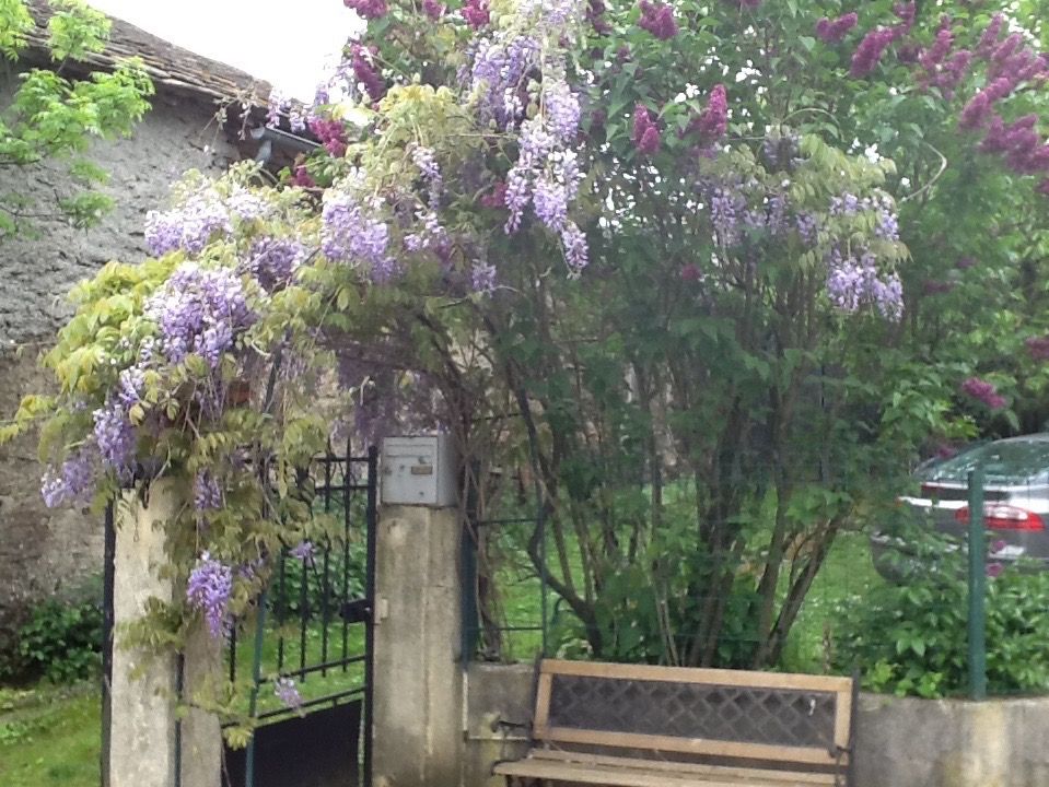 BROQUIES Maison 5 pièce(s) 3