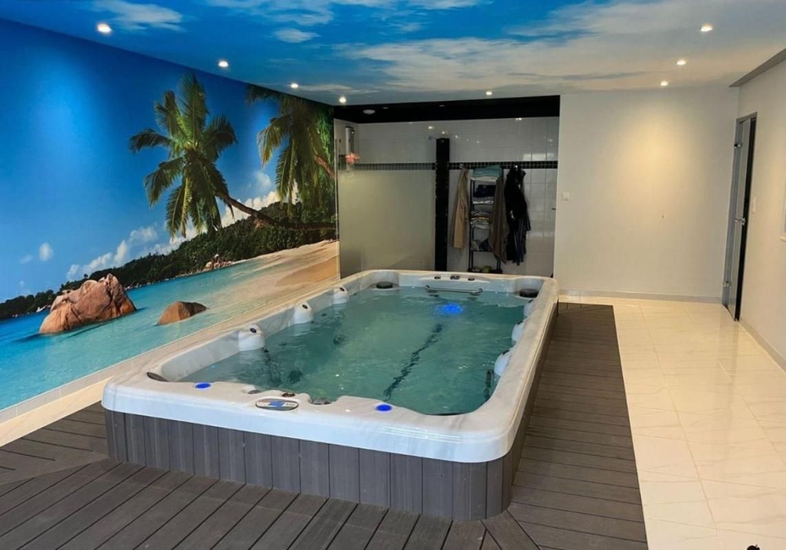 PIPRIAC Maison Pipriac 8 pièce(s) 250 m2 + SPA DE NAGE 3