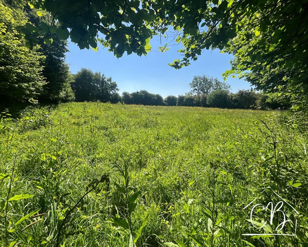 SAINTENY 50500 TERRE-ET-MARAIS - Terrain de 4671m2 2
