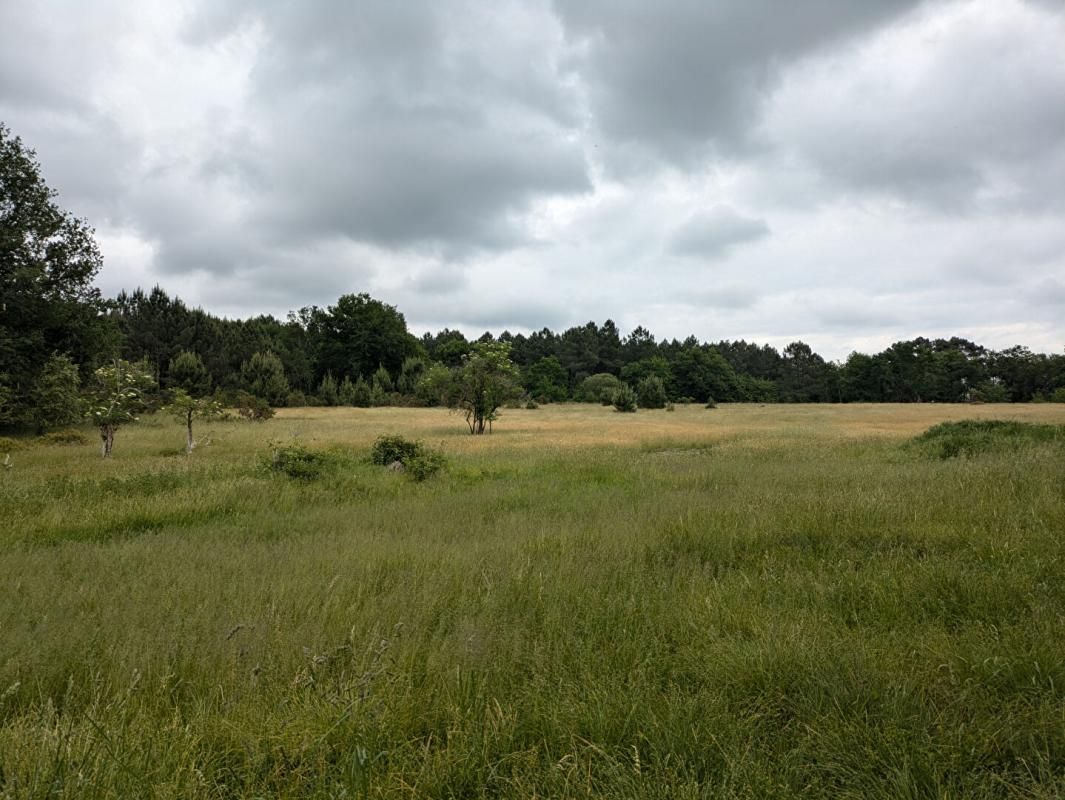 CERCOUX Longère Cercoux 5 pièce(s), 3 chambres, 190 m2 avec terrain 12 ha 2