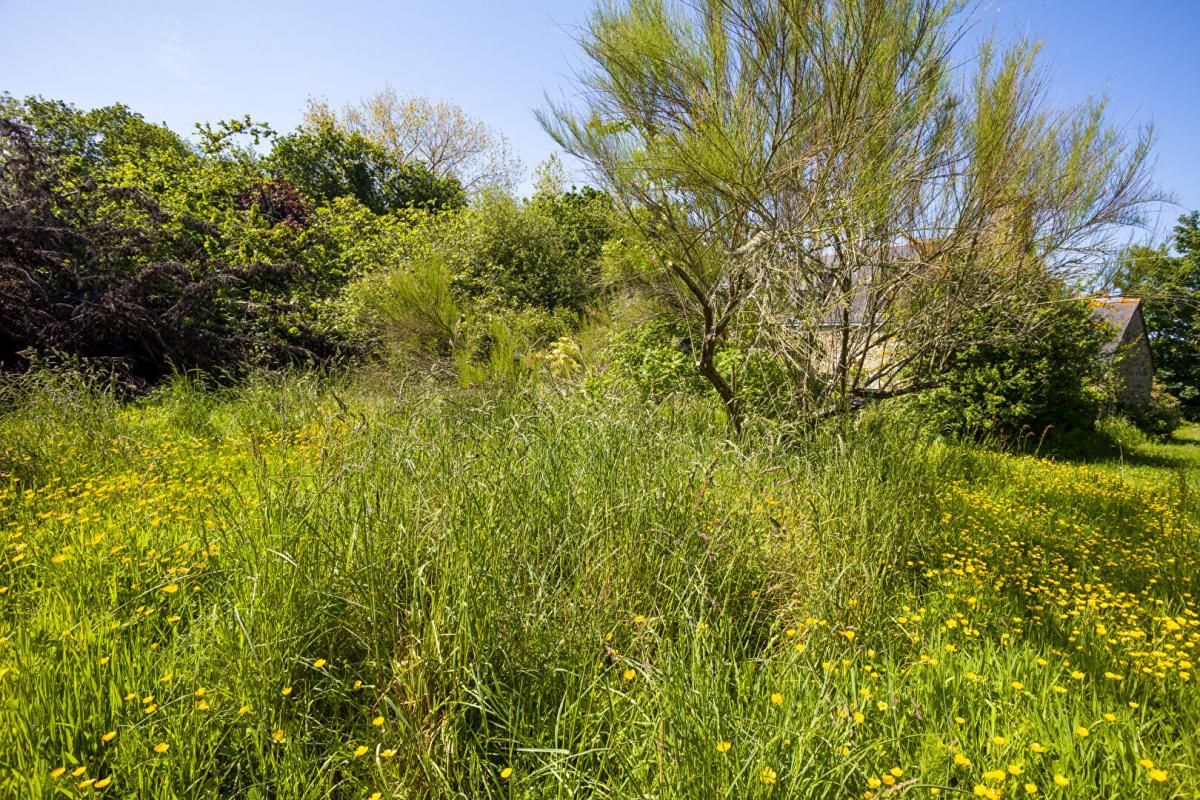 PLEUBIAN Longère de Charme à Pleubian , Environnement Exceptionnel 4