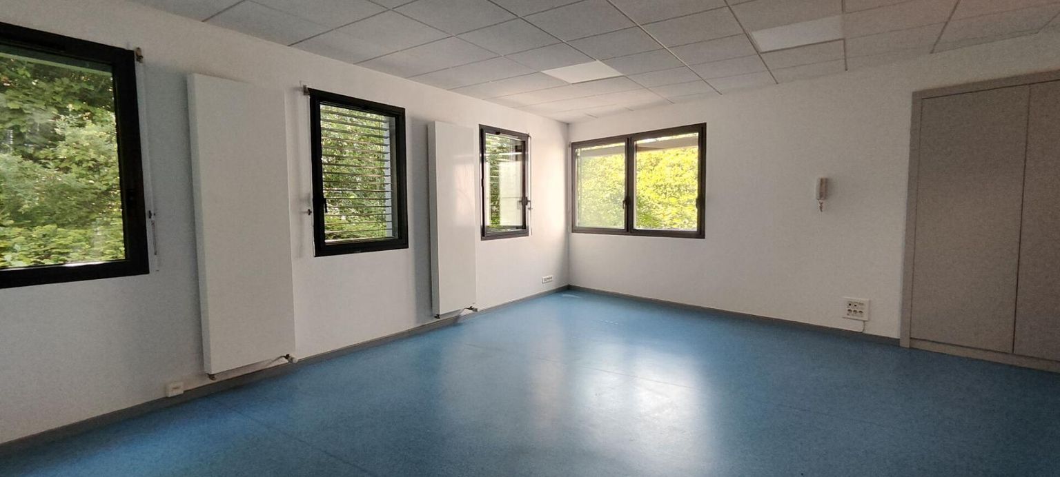 MULHOUSE 68200 MULHOUSE - ESPACE BUREAUX 201 m², 5 places de stationnement 2