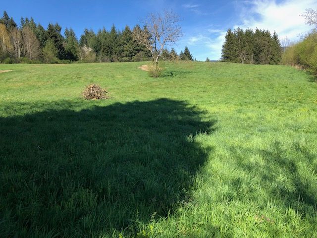 CHABRELOCHE Vente Terrain à batir d'environ 4940 m2 divisible 2