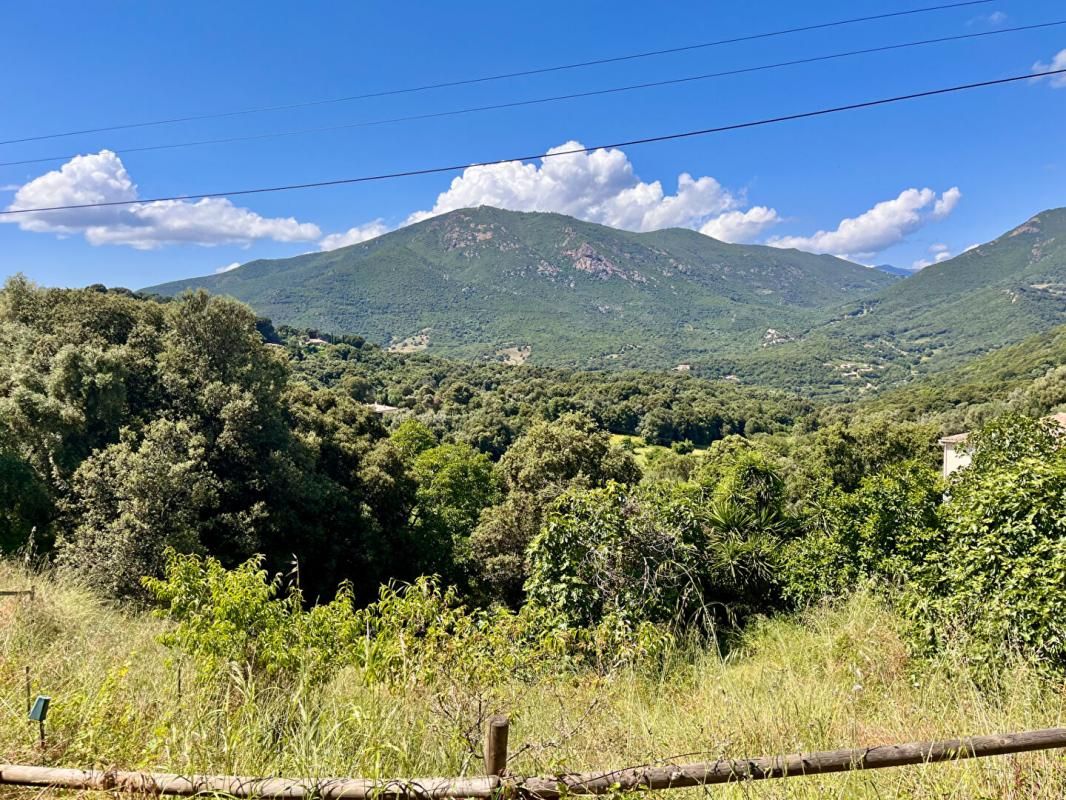 ECCICA-SUARELLA VENTE TERRAIN CONSTRUCTIBLE 1756 m² ECCICA SUARELLA (20117) 1