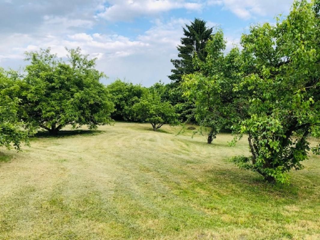 Terrain - 1100 m2