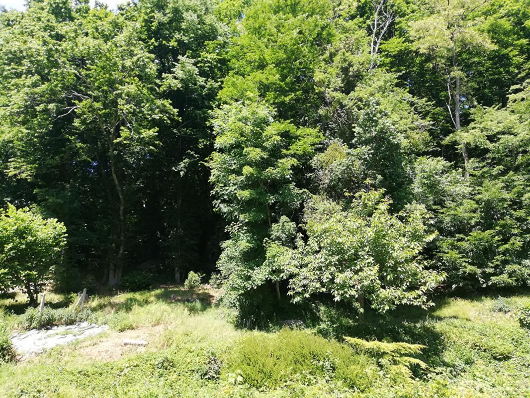 DAMPIERRE-EN-YVELINES Terrain boisé 4693 m2 4