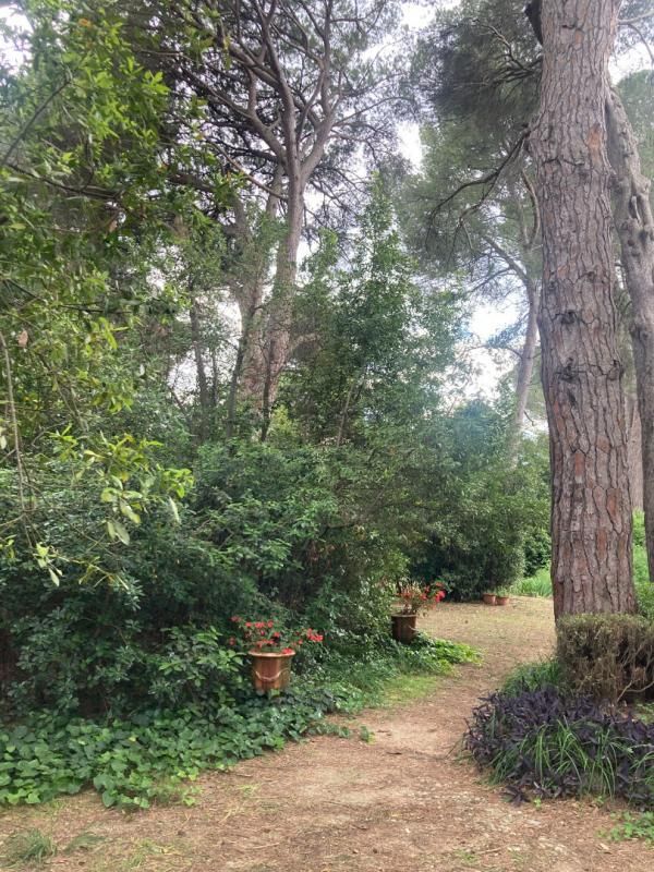 MONTPELLIER Demeure  9 pièce(s) 260 m2 2