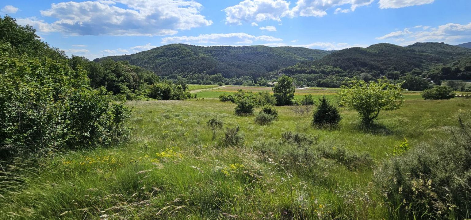 ALBA-LA-ROMAINE Terrain de loisirs de 8760 m² à Alba La Romaine 2