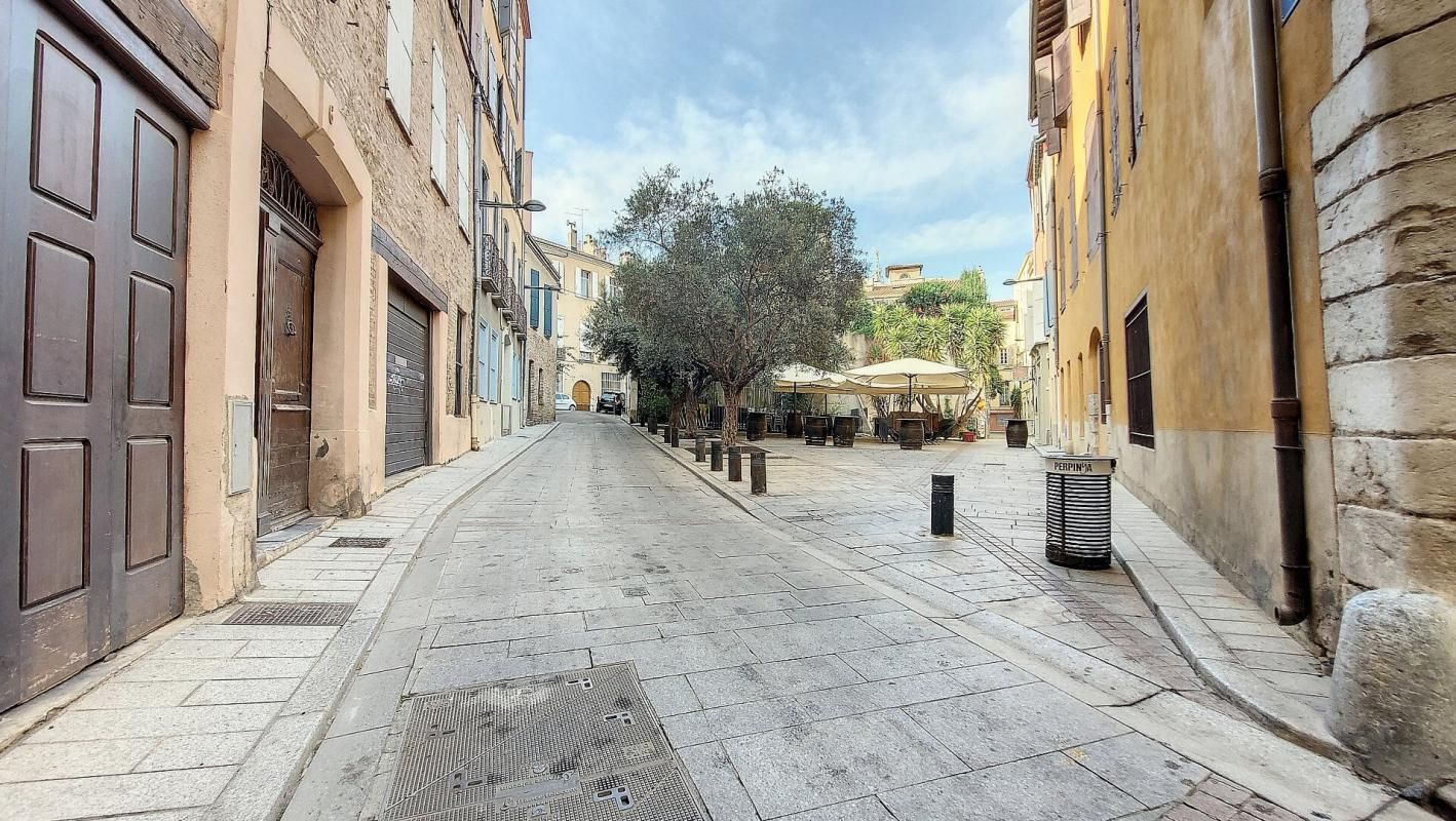 PERPIGNAN Appartement de TYPE LOFT ATELIER avec Garage + Terrasse de 27M² - Surf.Pondérée 177M²- Sur une place arborée ( 66000 PERPIGNAN - Centre Historique) 3