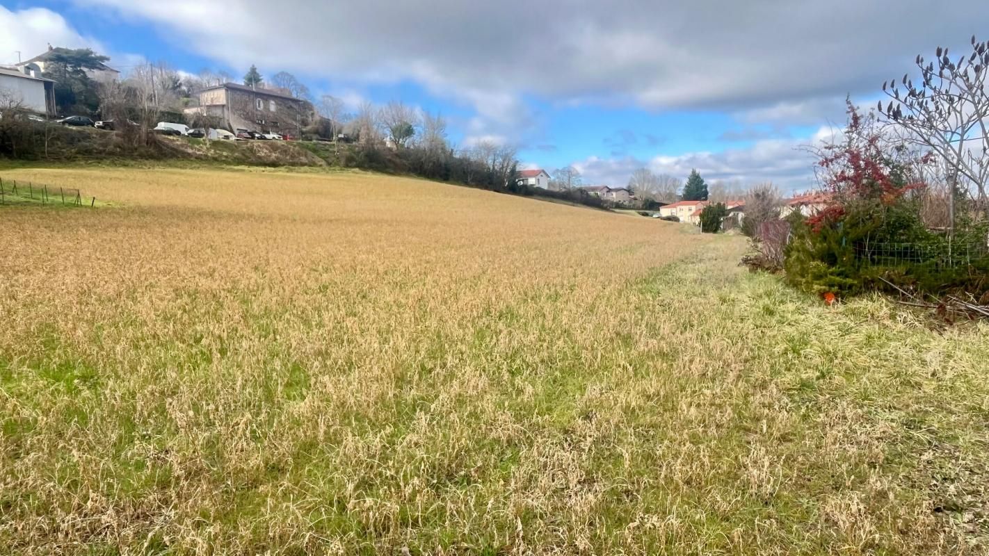 ALBI Terrain Saint Benoit De Carmaux 16000 m2 1