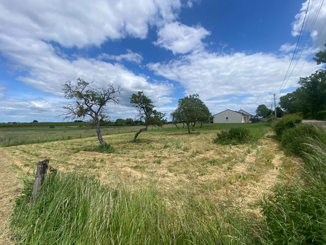 VEZELISE 54430 Maison de plain pied neuve sur terrain de 2800 M² 4