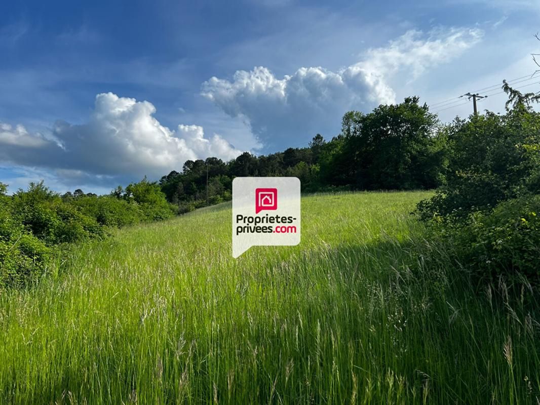 SAINT-PAUL-DE-SERRE Beau terrain constructible et arboré de 3350 m² situé proche du bourg de SAINT-PAUL-DE-SERRE (24380) 1