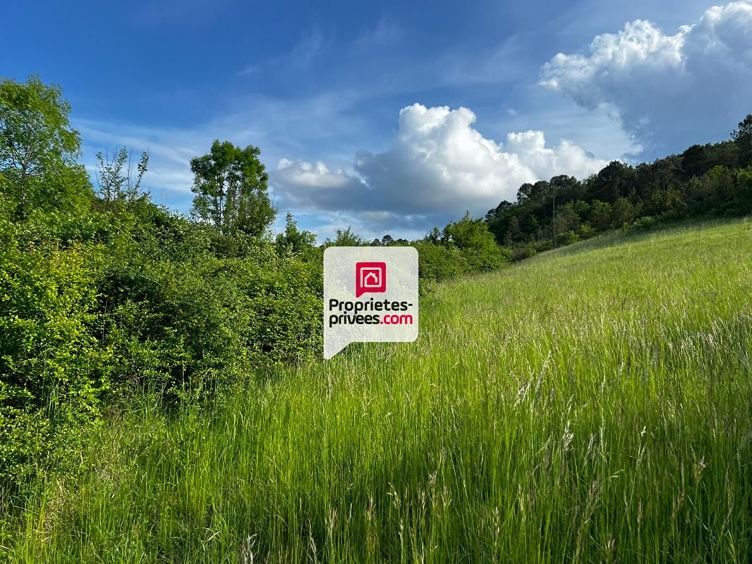 SAINT-PAUL-DE-SERRE Beau terrain constructible et arboré de 3350 m² situé proche du bourg de SAINT-PAUL-DE-SERRE (24380) 2