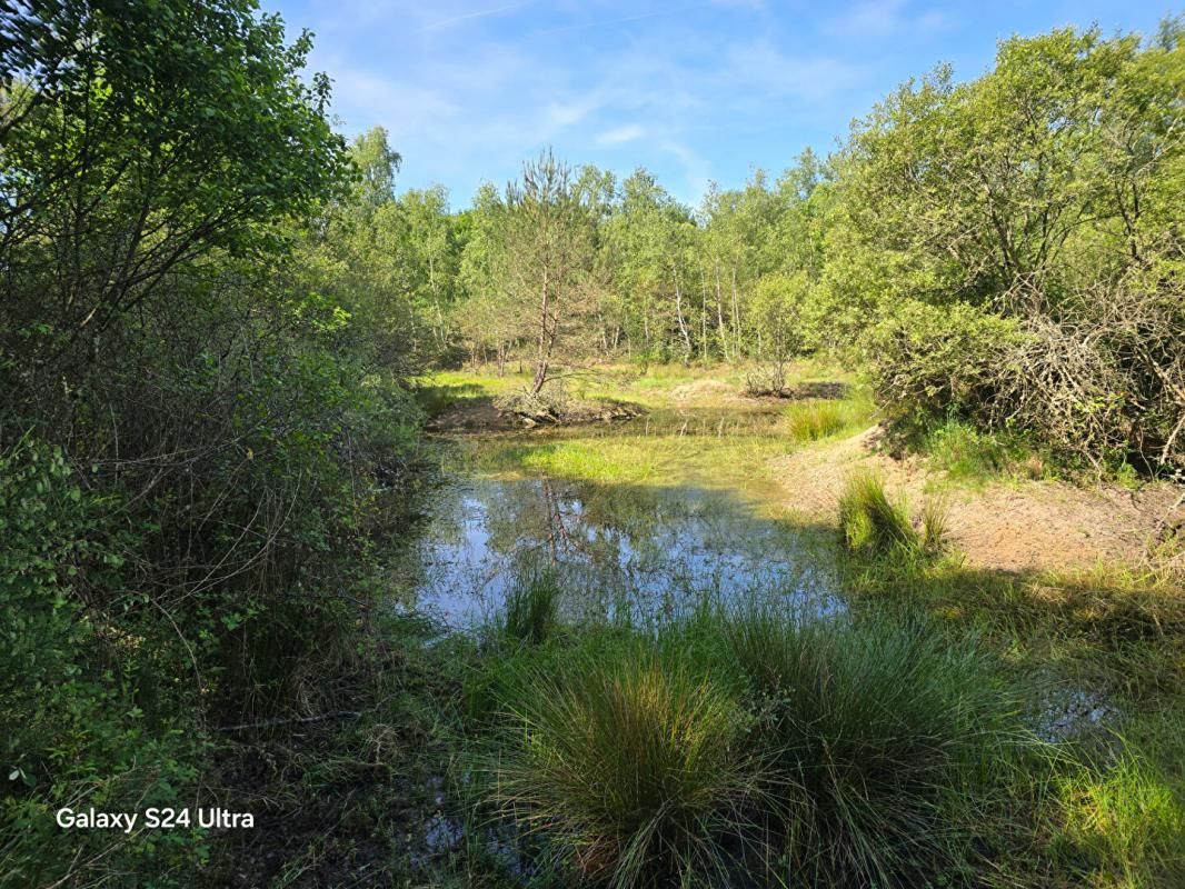 MONTEREAU Propriété de chasse 1