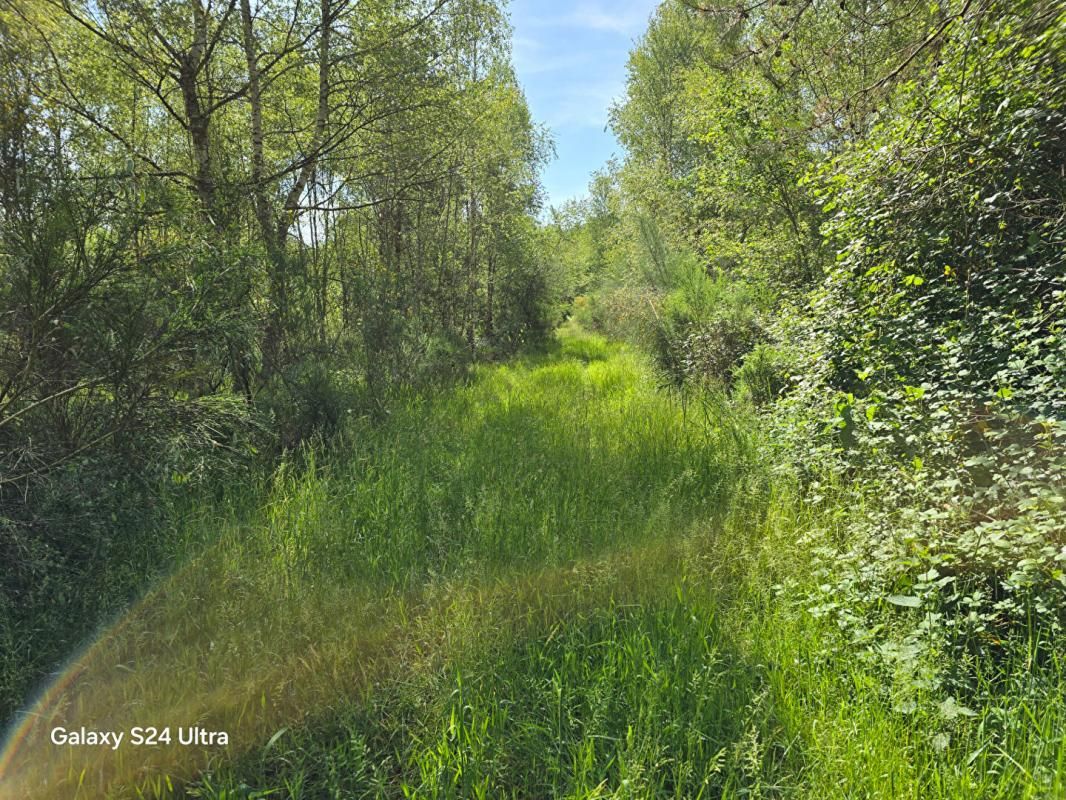 MONTEREAU Propriété de chasse 2
