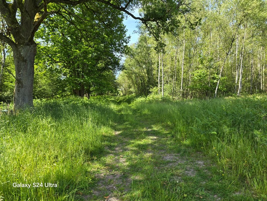 MONTEREAU Propriété de chasse 4