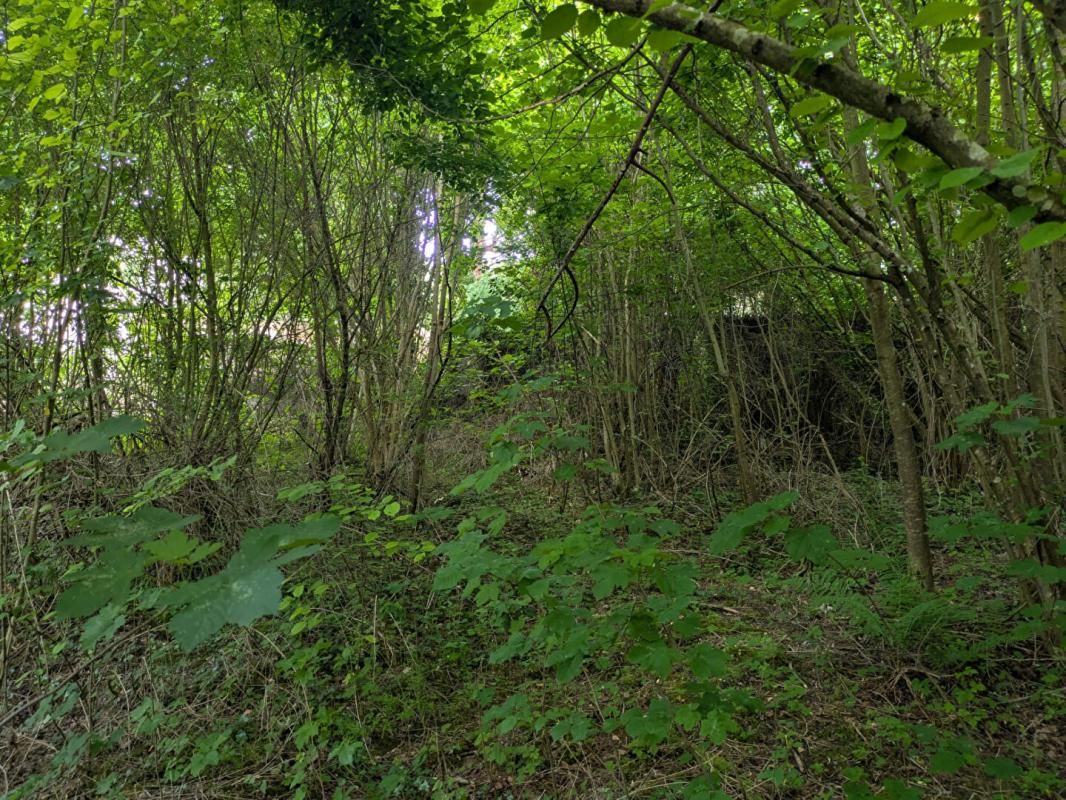 SERAINCOURT Terrain de loisirs - Coeur de Seraincourt 4
