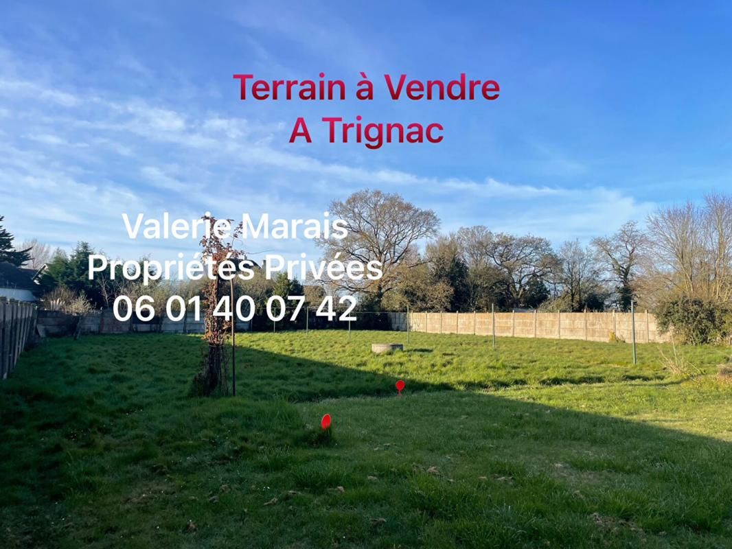 TRIGNAC Terrain à Ventre - TRIGNAC 1