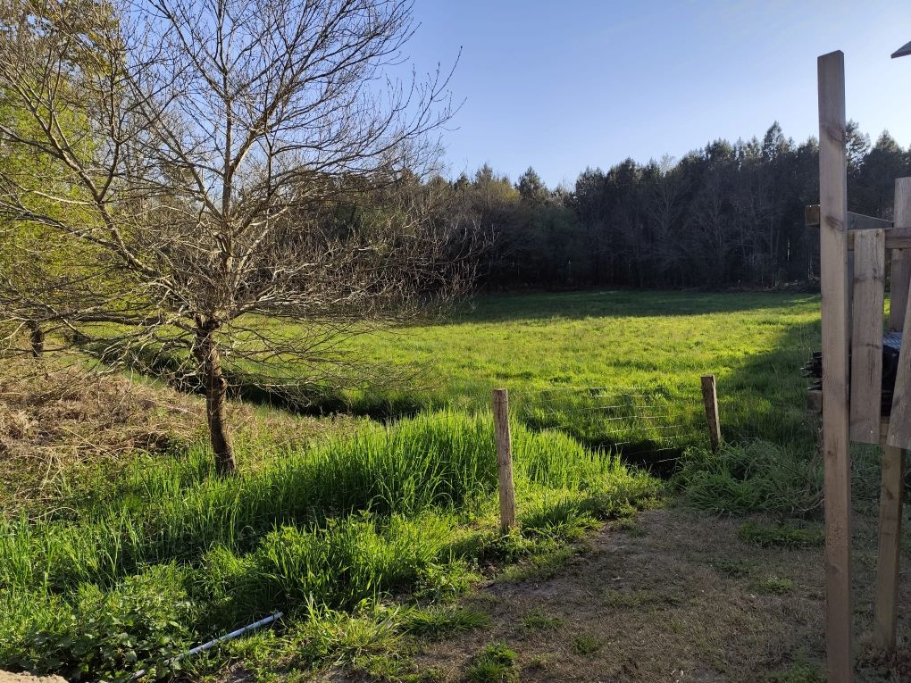 AZUR Maison 180 m² entre Forêt et Océan 4