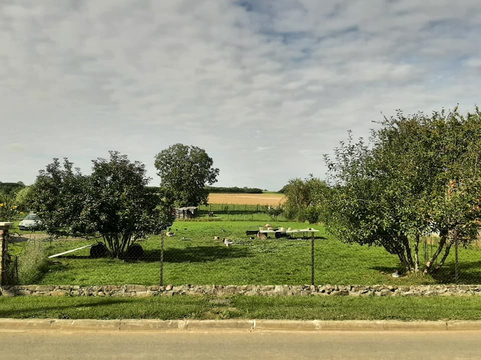 Terrain