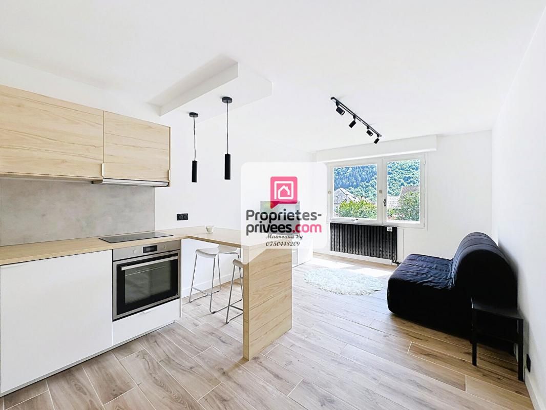 UGINE Appartement Ugine 1 pièce 28 m2 3