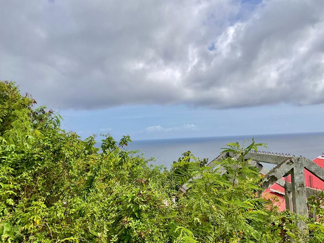 Terrain Vieux Fort 973 m2 - Vue sur mer
