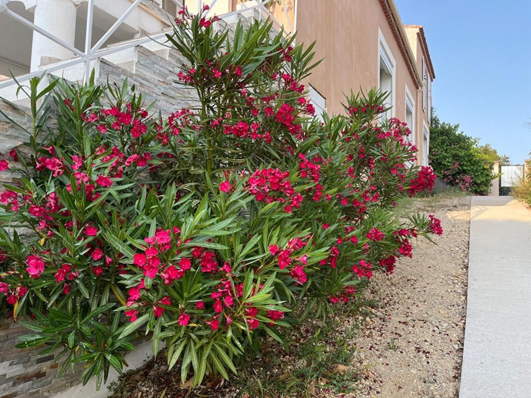 SAUSSET-LES-PINS Appartement Sausset Les Pins 3 pièces 67 m2 +Terrasse de 24M2 vue MER 3