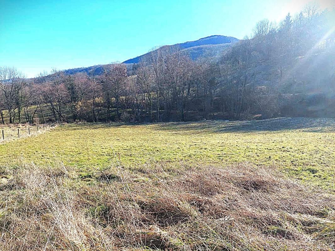 FOIX Foix terrain constructible 5734 m2 à Brassac 2