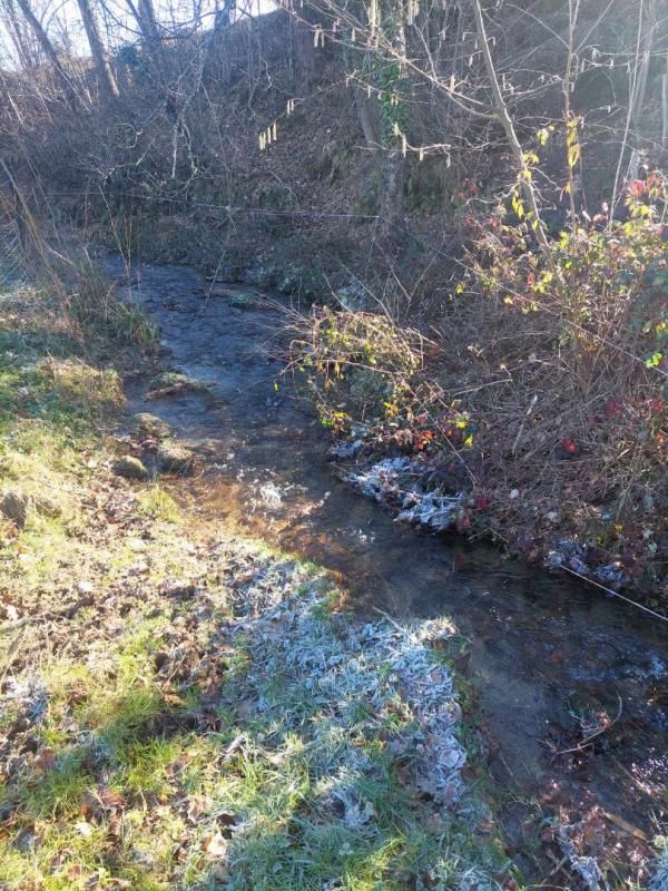 FOIX Foix terrain constructible 5734 m2 à Brassac 4